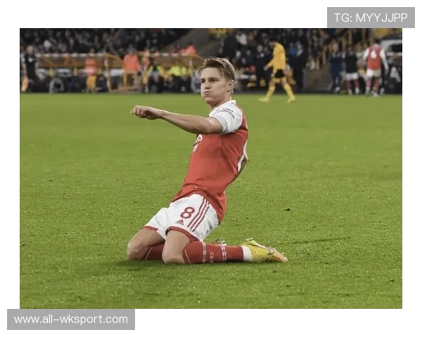 厄德高为何评价两极分化？技术风格与战术适配性关键解析