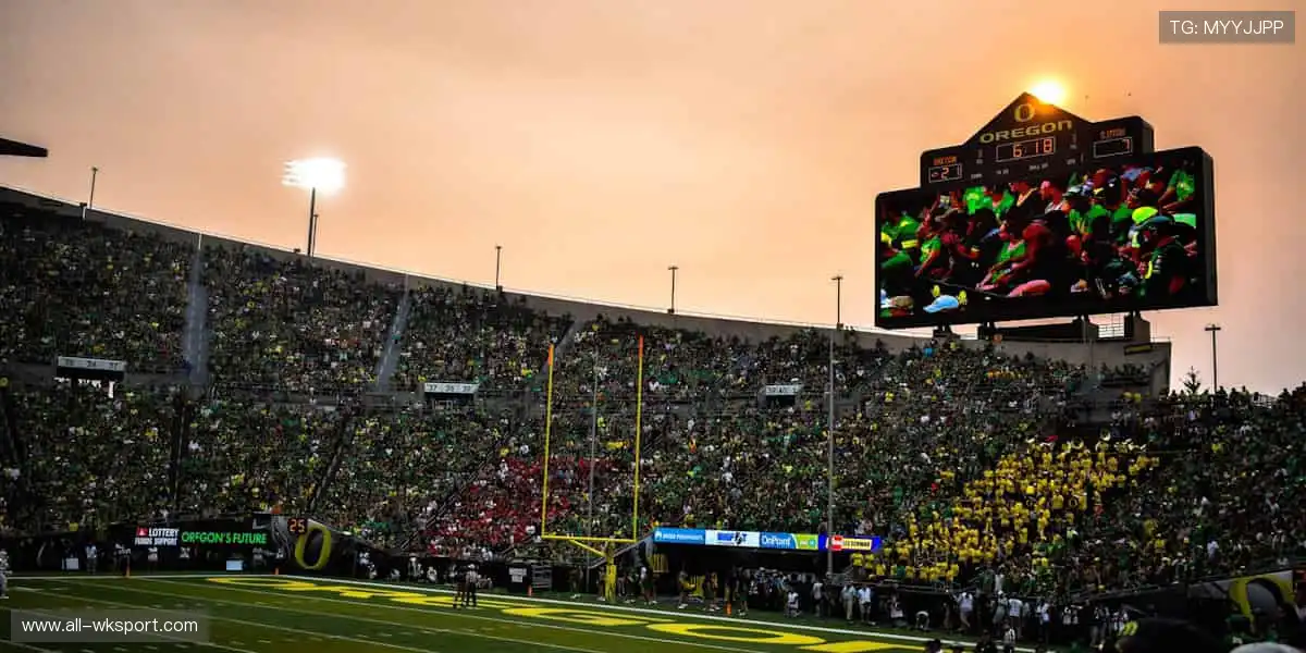 高清画质，畅享赛事！🎥🏒